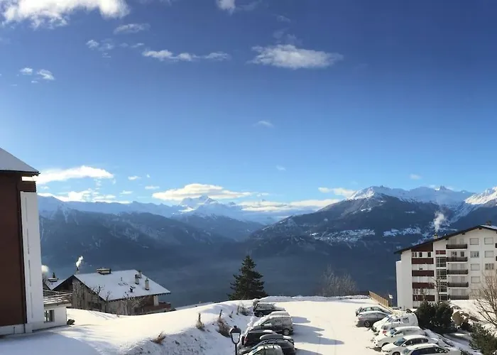 Spacieux Pres Des Violettes Daire Crans-Montana